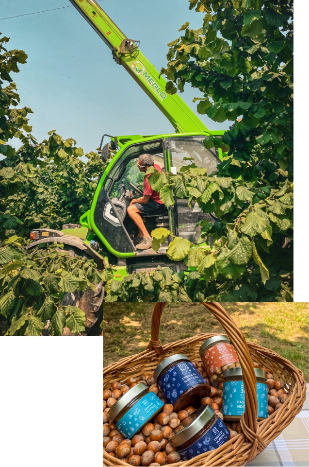 Foto della nostra azienda
